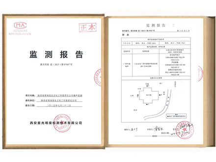 陕西省商南县东正化工有限责任公司2025年7月噪声检测报告