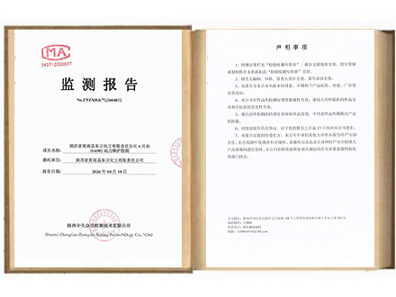 东正化工2026年4月份DA002动力锅炉检测