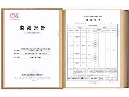 东正化工2026年二季度厂界废气监测报告