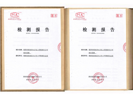 东正化工2018年第四季度废水监测报告