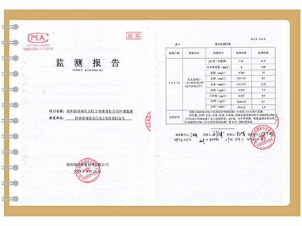 东正化工2019年5月环境监测报告