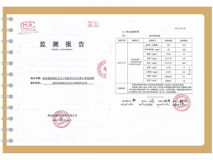 东正化工2019年第三季度监测报告