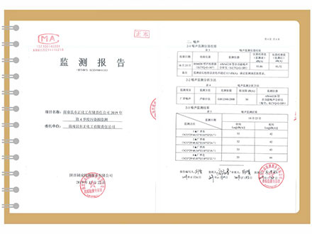 东正化工2019年第四季度污染源监测报告