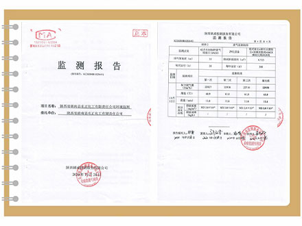 东正化工2020年10月环境监测报告