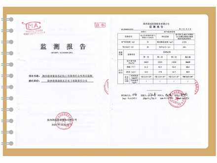 东正化工2020年12月项目监测报告
