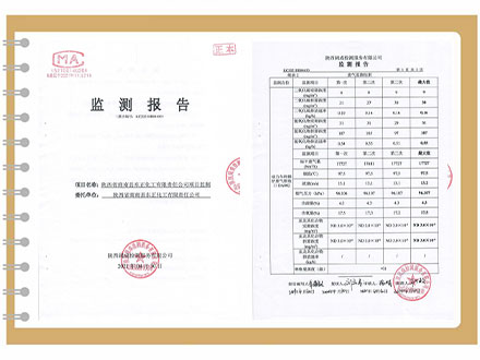 东正化工2021年4月份项目监测报告